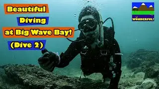 Amazing Diving at Big Wave Bay Hong Kong !  (Dive 2) --  超靚大浪西灣潛水 :-) !