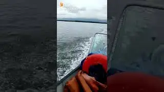pesca total