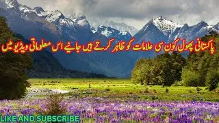most unique flowers in the world ||most beautiful flowers | most unique flowers || beautiful flowers