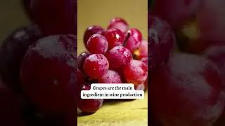 TOP INTERESTING FACTS ABOUT GRAPES , GRAPES FACTS