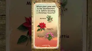 Which Plant Went from Wild to Christmas Classic? 🌵 Wild West Trivia Quiz