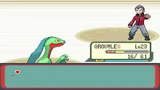 Pok&eacute;mon Ruby Sapphire & Emerald Victory (Gym Leader)