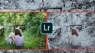 Lightroom Silver Tone Effect | Lightroom Photo Editing Tutorial | BBJ EDITZ