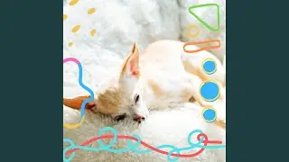 Retro Chillout Smooth Jazz - Vibe for Calm Dogs