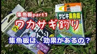 ワカサギのサビキ釣りにも集魚板を使ったほうがいいの？part 1