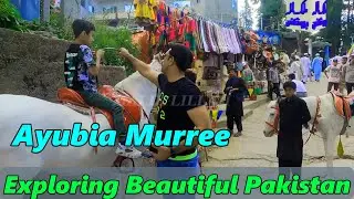 Beautiful View Of Ayubia Murree From Mountains | Exploring Sightseeing Murree Pakistan