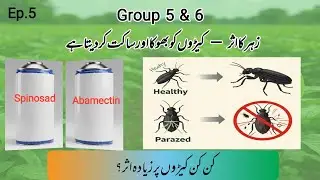 How Group 5 & 6 Pesticides Kill Pests | Spinosad & Abamectin Mode of Action Explained | KissanDost