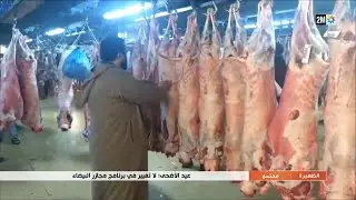 عيد الأضحى: لا تغيير في برنامج مجازر  البيضاء..