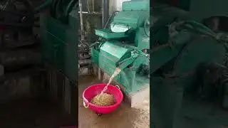 New step in blood line #beluru #coffee #farmhouse #farming