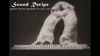 AG & Cuns - The Last Advice