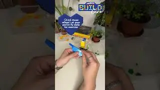 🦜 Build Care with Marltons! 🦜