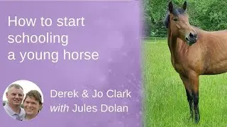How To Get Started With A Young Horse