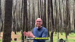 Seri Pembelajaran Dari Alam - Support System Pohon Cemara