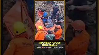 Southeast Asia Floods: Search Continues For 79 Missing People After Deadly Indonesia floods