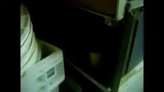 pasin elektroninen keksint&ouml;