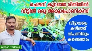 Low Cost Aquaponic ചെലവ് കുറഞ്ഞ അക്വാപോണിക്സ് Aquaponics Thrissur