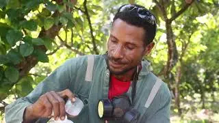 SKILLS TV Episode 5 Cocoa Farming 2