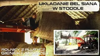 Układanie bel siana w stodole Andrzej Jarek oraz turysta