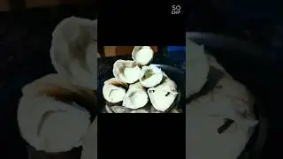ময়দা, চিনি ও মাখন দিয়ে তৈরি Cream Roll recipe #youtube #shorts #creamrolls #trending #viral #food