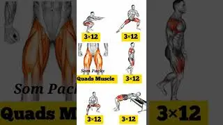 Without equipment legs stretch 💪 #legsstretch #workoutideas #legexercises #legday #homeworkoutideas