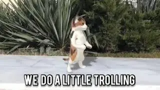 we do a little trolling RTX on