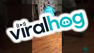 Skip Toy Fail || ViralHog