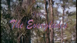 &ldquo;Visit the Everglades&rdquo; Classic 1960&rsquo;s Florida Travel Film