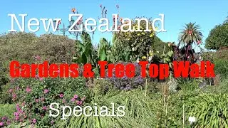 New Zealand Special Gardens & Tree Top Walk