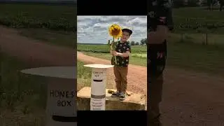 #Nor&rsquo;s Green Thumb - Sunflower Trail&hellip;🌻🌻🌻