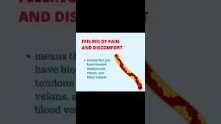 iTerAmazing Body Responses ( part 1)