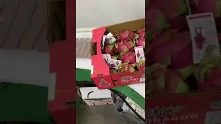 J&C Tropicals Packing Dragon Fruit
