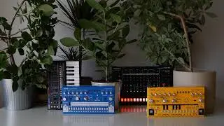 Snot Monkey - Acid 071 (Behringer RD-6 TD-3, Roland TR-8S JU-06A) (Melodramatic acid)
