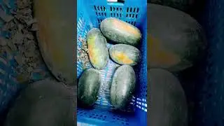 @#vegetable store in cold room🥶🥦🥬