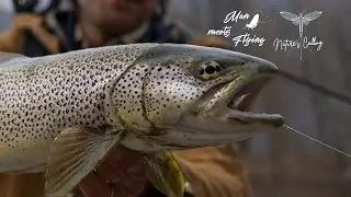 PESCA A MOSCA SECCA  | The perfect day