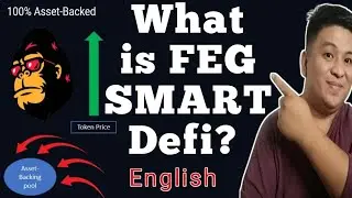 What is Feg Smart Defi ?