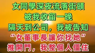 女同學深夜流落街頭被我收留一晚，隔天剛到公司，同事告訴我：新來的女上司讓你去辦公室，推開門後，我整個人僵住！「情感故事」
