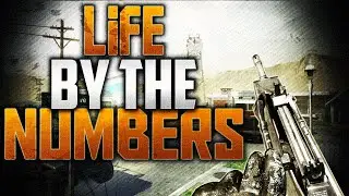 Life By The Numbers