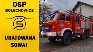 STRAŻACY URATOWALI SOWĘ! - OSP BOLECHOWICE