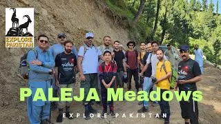 Paleja Meadows پلیجہ میڈوز
