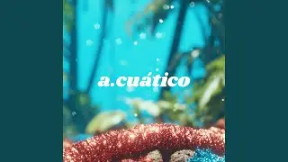 a.cu&aacute;tico