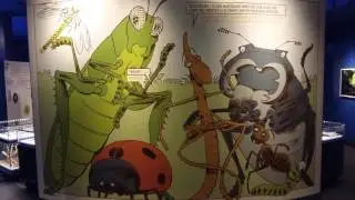 Insectarium - Montreal Botanical Garden video tour