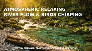 Atmospheric Relaxing River Flow & Birds Chirping &mdash; 4K Ultra HD Nature Ambiance