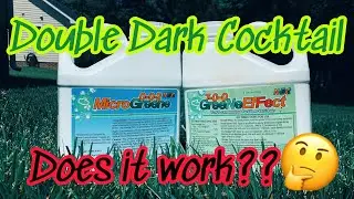 Does the Double Dark Cocktail Really Provide A Color Pop?
