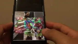 Samsung Galaxy S9 / S9+: How to Start a Photo Slideshow in Gallery