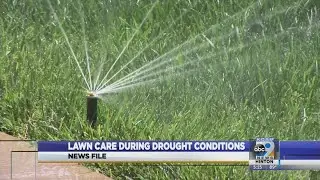 Lawn care during drought conditions