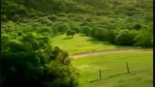 Arthur Laughs at Zombie