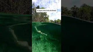 Lagoa Cristalina, Figueiredo, Amazonas #cristalclearlagoon #presidentefigueiredo