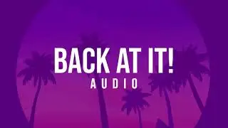 CynnCity - Back At It