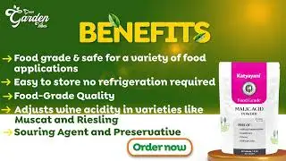 Malic Acid Powder
