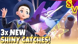 SHINY ORTHWORM + SHINY HONCHKROW! Shiny Azurill Found Too! | Pokemon Violet Live Stream